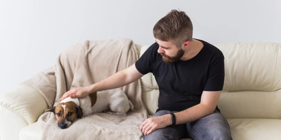 Pet Care and Psychology Diploma